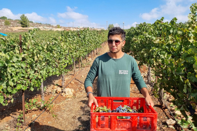 חיבורים בחקלאות (13)