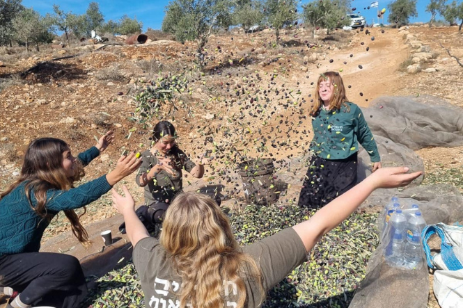 חיבורים בחקלאות (16)