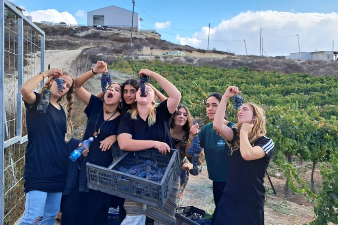 חיבורים בחקלאות (22)