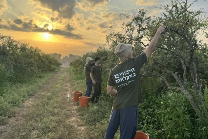 חיבורים בחקלאות (23)