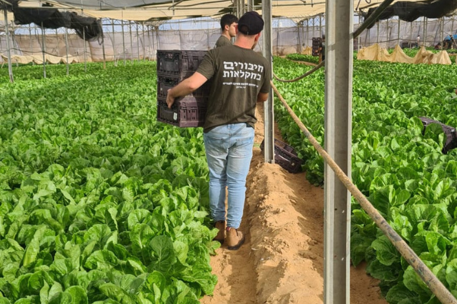 חיבורים בחקלאות (6)
